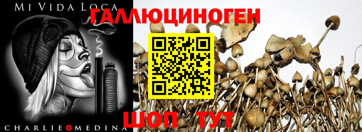 Галлюциногенные грибы Magic Shrooms  где можно купить наркотик  Серпухов  Вход с VPN 